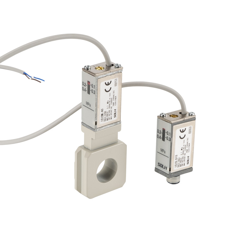 IS10 Series Reed Tube Mechanica Pressura Switch