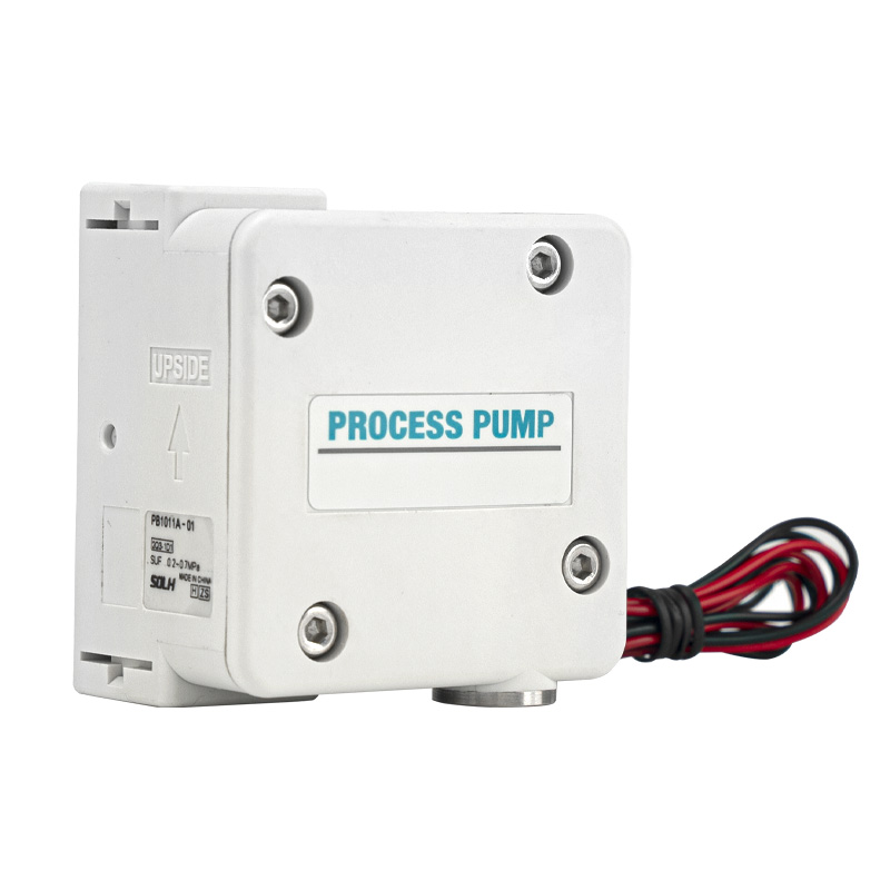PB1011 Processus Pump